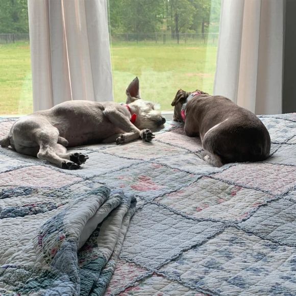 Meet your Posher, Diane - Picture 1 of 1